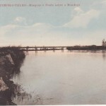mondego1
